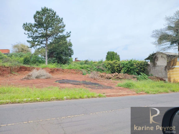 Imagem Terreno à Venda, 785 m² em Campestre - São Leopoldo Imagem Terreno à Venda, 785 m² em Campestre - São Leopoldo