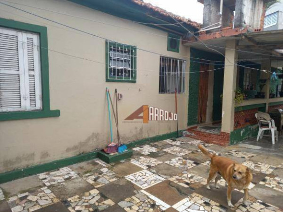 Imagem Terreno à Venda, 327 m² em Ponte Rasa - São Paulo Imagem Terreno à Venda, 327 m² em Ponte Rasa - São Paulo