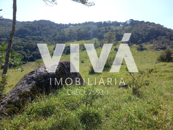 Imagem Fazenda à Venda, 338.800 m² em Rural - Pedra Bela Imagem Fazenda à Venda, 338.800 m² em Rural - Pedra Bela