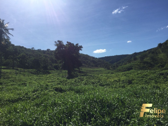 Imagem Imóvel com 1 Quarto à Venda, 113 m² em área Rural De Linhares - Cariacica
