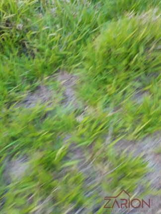 Imagem Chácara à Venda, 2.000 m² em Santa Luzia Rural - Taubaté
