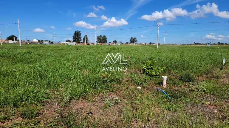 Imagem Terreno à Venda, 250 m² em Nova Lima - Campo Grande Imagem Terreno à Venda, 250 m² em Nova Lima - Campo Grande