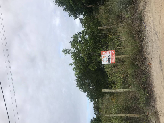 Imagem Terreno à Venda, em Taipú De Fora - Marau Imagem Terreno à Venda, em Taipú De Fora - Marau