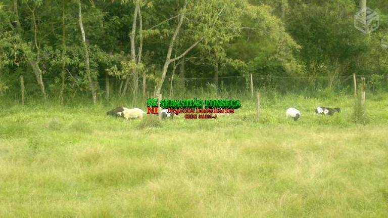 Imagem Fazenda à Venda, 871.200 m² em Centro - Monteiro Lobato Imagem Fazenda à Venda, 871.200 m² em Centro - Monteiro Lobato