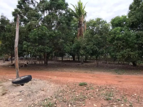 Imagem Fazenda à Venda, 1 m² em Zona Rural - Sinop Imagem Fazenda à Venda, 1 m² em Zona Rural - Sinop