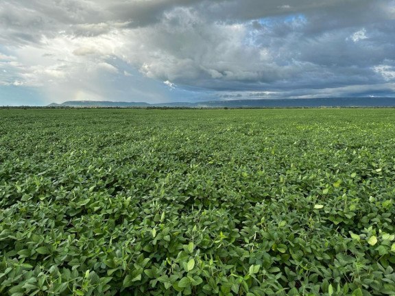 Imagem Fazenda à Venda, 9.700 m² em Rural - Pontes E Lacerda Imagem Fazenda à Venda, 9.700 m² em Rural - Pontes E Lacerda