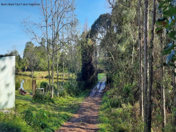 Terreno à Venda, 1 m² em Br 116 - Nova Petrópolis