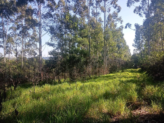 Imagem Chácara à Venda, 29.000 m² em Pimenta - Viamão Imagem Chácara à Venda, 29.000 m² em Pimenta - Viamão