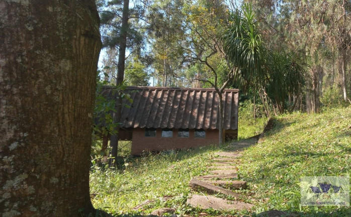 Imagem Imóvel com 3 Quartos à Venda, 99.162 m² em Chácara São João - Campo Limpo Paulista