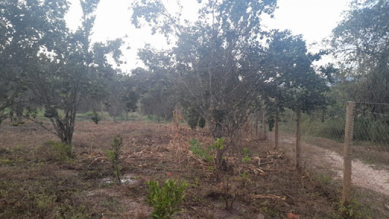 Imagem Terreno à Venda, 498 m² em Melo Franco - Brumadinho Imagem Terreno à Venda, 498 m² em Melo Franco - Brumadinho