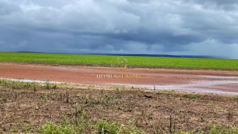 Imagem Imóvel com 3 Quartos à Venda, 7.546 m² em Zona Rural - Nobres Imagem Imóvel com 3 Quartos à Venda, 7.546 m² em Zona Rural - Nobres