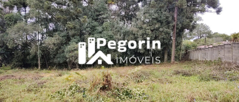 Imagem Terreno à Venda, 6.325 m² em Jardim Cláudia - Pinhais Imagem Terreno à Venda, 6.325 m² em Jardim Cláudia - Pinhais