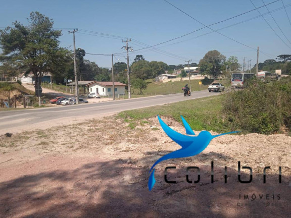 Imagem Chácara com 3 Quartos à Venda, 3.600 m² em Leão - Agudos Do Sul Imagem Chácara com 3 Quartos à Venda, 3.600 m² em Leão - Agudos Do Sul