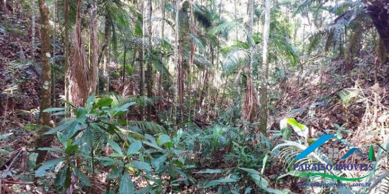 Imagem Chácara à Venda, 155 m² em Centro - Paraisópolis