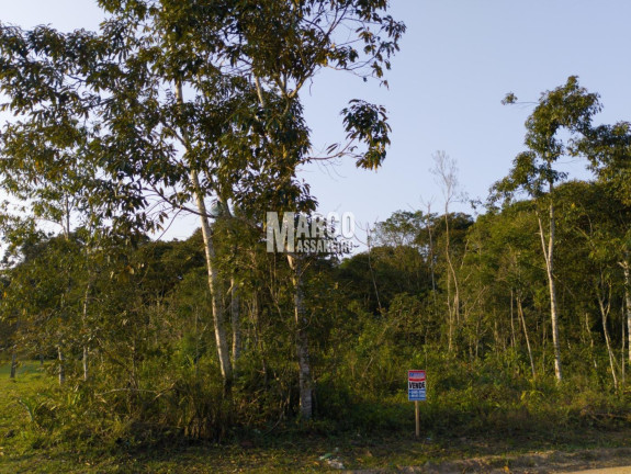 Imagem Terreno à Venda, 1 m² em Conquista - Balneário Barra Do Sul Imagem Terreno à Venda, 1 m² em Conquista - Balneário Barra Do Sul