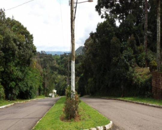 Imagem Terreno à Venda, 462 m² em Vale Verde - Nova Petrópolis Imagem Terreno à Venda, 462 m² em Vale Verde - Nova Petrópolis