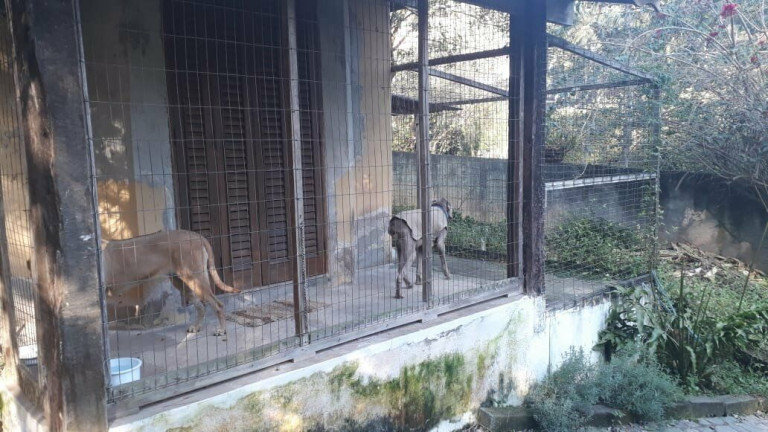 Imagem Casa com 4 Quartos à Venda, 138 m² em Granja Carneiro Viana - Cotia Imagem Casa com 4 Quartos à Venda, 138 m² em Granja Carneiro Viana - Cotia