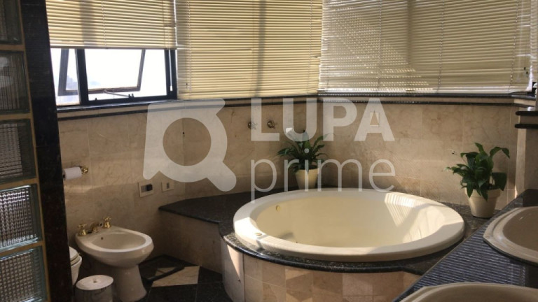 Imagem Apartamento com 3 Quartos à Venda, 250 m² em Vila Paulicéia - São Paulo Imagem Apartamento com 3 Quartos à Venda, 250 m² em Vila Paulicéia - São Paulo