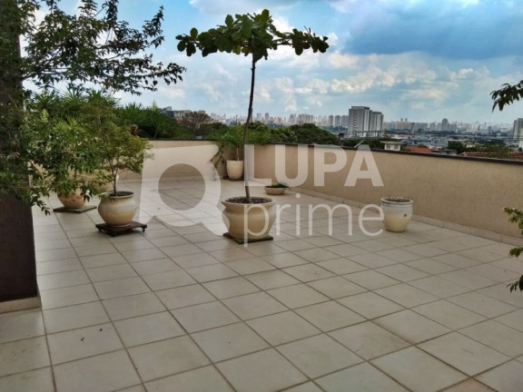 Imagem Imóvel Comercial à Venda, 503 m² em Vila Maria Alta - São Paulo