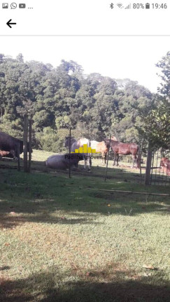 Chácara à Venda, 4 m² em Rural - Angatuba