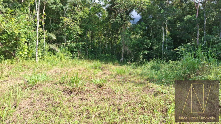 Imagem Terreno à Venda, 360 m² em Massaguaçu - Caraguatatuba Imagem Terreno à Venda, 360 m² em Massaguaçu - Caraguatatuba