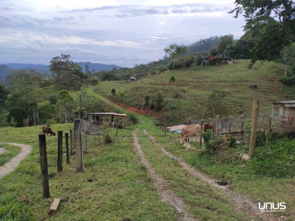 Imagem Fazenda à Venda, 13.000 m² em Pagará - São Pedro De Alcântara Imagem Fazenda à Venda, 13.000 m² em Pagará - São Pedro De Alcântara