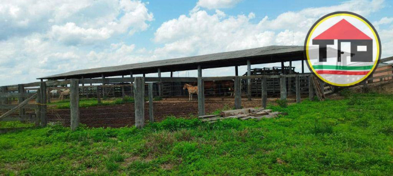Imagem Fazenda à Venda, 5.082.000 m² em Zona Rural - São Domingos Do Araguaia Imagem Fazenda à Venda, 5.082.000 m² em Zona Rural - São Domingos Do Araguaia