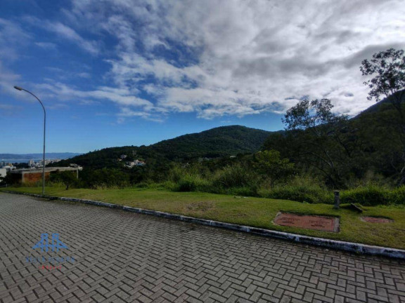 Imagem Terreno à Venda, 533 m² em Itacorubi - Florianópolis