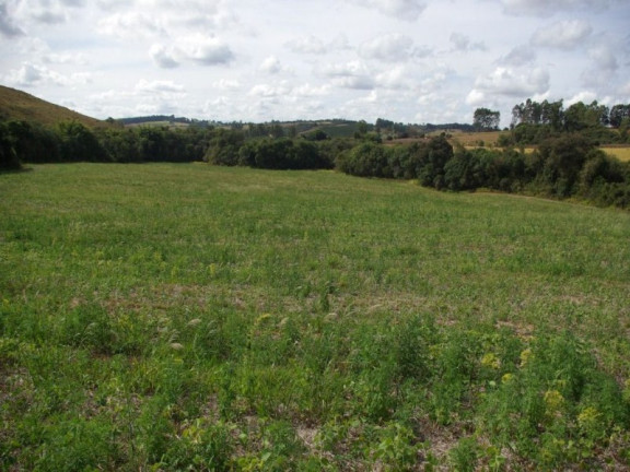 Imagem Imóvel à Venda, 435.600 m² em Zona Rural - Jacui Imagem Imóvel à Venda, 435.600 m² em Zona Rural - Jacui