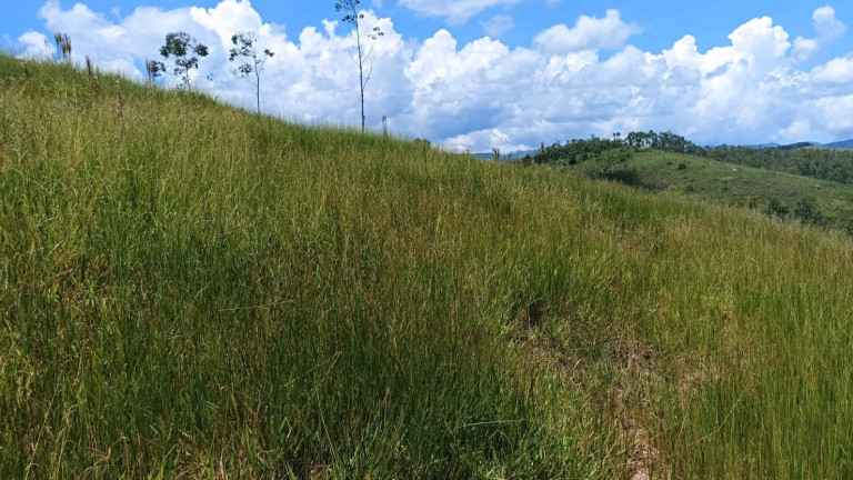 Imagem Chácara à Venda, 200 m² em Centro - Paraibuna Imagem Chácara à Venda, 200 m² em Centro - Paraibuna