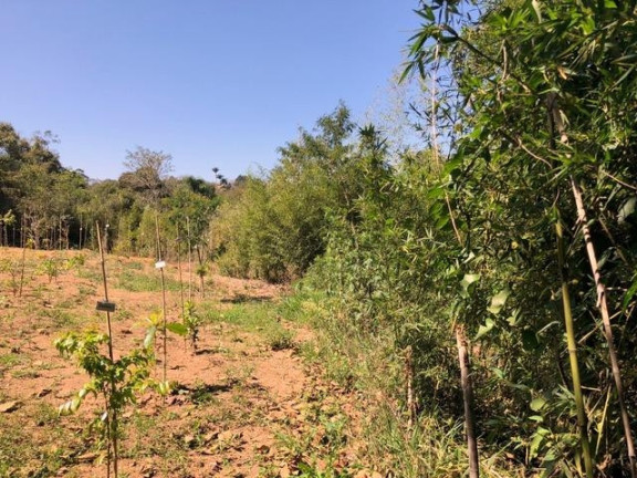 Imagem Terreno à Venda, 5.017 m² em Chácara Das Candeias - Carapicuíba Imagem Terreno à Venda, 5.017 m² em Chácara Das Candeias - Carapicuíba
