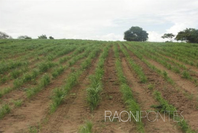Imagem Fazenda à Venda, 1.710.000 m² em Zona Rural - São Pedro