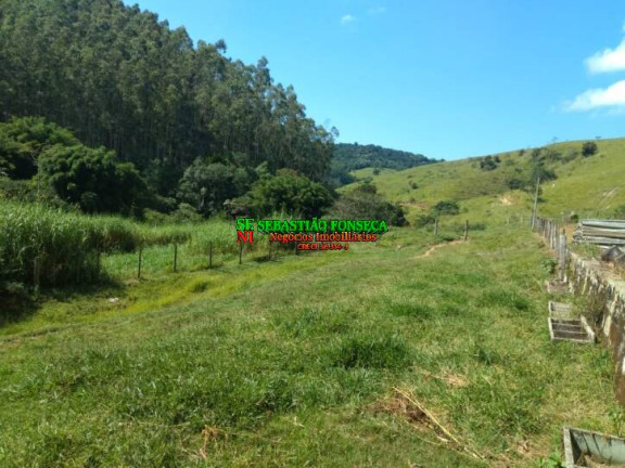 Imagem Fazenda à Venda, 58 m² em Centro - Paraibuna Imagem Fazenda à Venda, 58 m² em Centro - Paraibuna