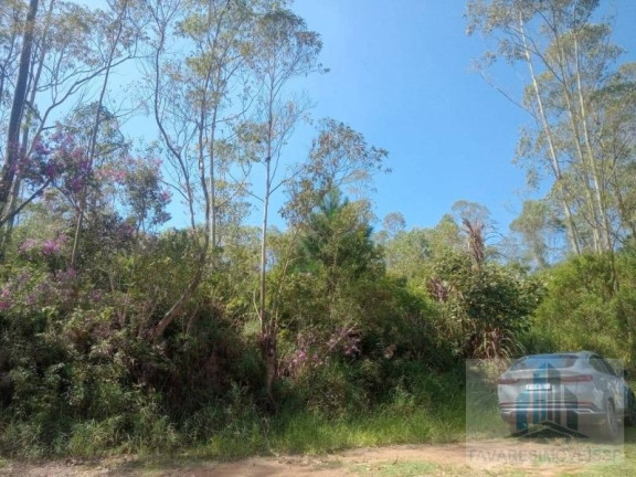 Imagem Terreno à Venda, 1.300 m² em Jardim Dos Eucaliptos - Suzano Imagem Terreno à Venda, 1.300 m² em Jardim Dos Eucaliptos - Suzano