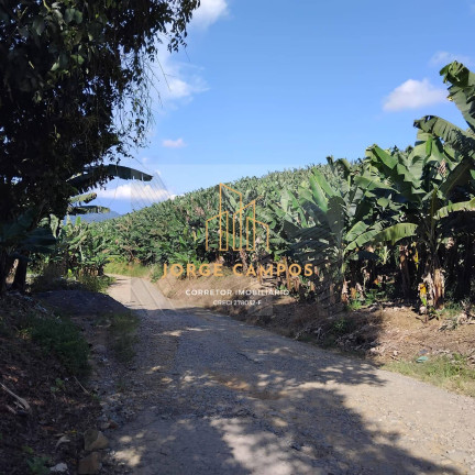 Fazenda à Venda, 125 m² em Zona Rural - Miracatu
