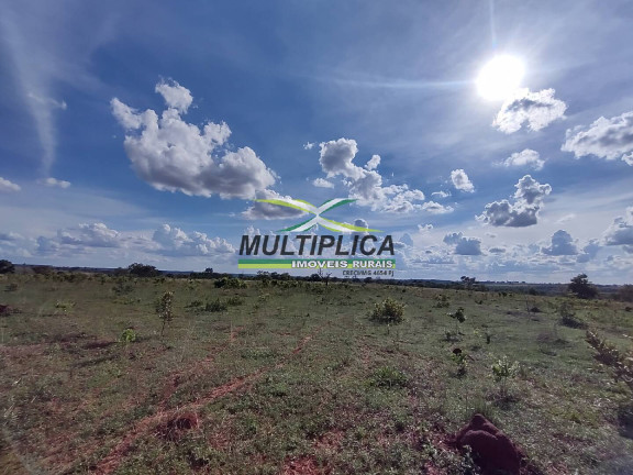 Fazenda à Venda, 53 m² em Centro - Monte Alegre De Minas
