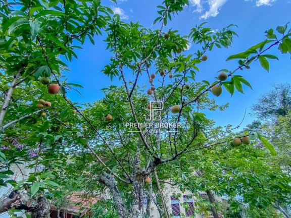 Imagem Casa com 3 Quartos à Venda, 146 m² em Vale Do Paraíso - Teresópolis Imagem Casa com 3 Quartos à Venda, 146 m² em Vale Do Paraíso - Teresópolis