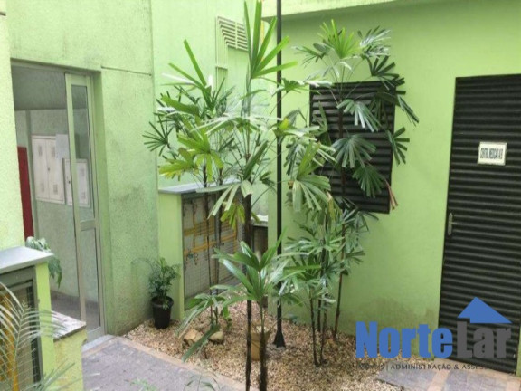 Imagem Apartamento com 2 Quartos à Venda, 48 m² em Vila Amélia - São Paulo