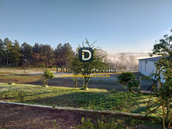 Sala Comercial à Venda, 25.000 m² em Distrito Industrial - Santa Maria