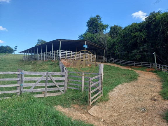 Imagem Fazenda à Venda, em Palmital - São Luíz Do Paraitinga Imagem Fazenda à Venda, em Palmital - São Luíz Do Paraitinga