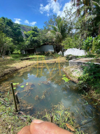 Imagem Chácara com 4 Quartos à Venda, 2.900 m² em Petrópolis - Timóteo