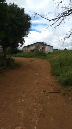 Imagem Imóvel à Venda, 121.000 m² em Ipelândia - Suzano Imagem Imóvel à Venda, 121.000 m² em Ipelândia - Suzano