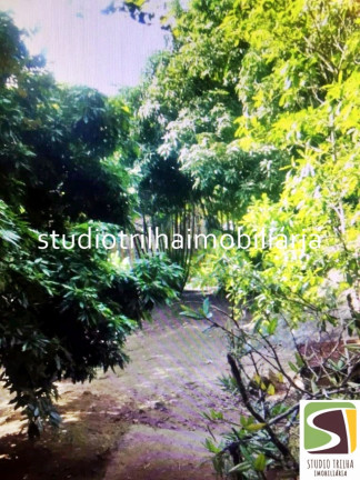 Imagem Terreno à Venda, 4.741 m² em Portinho - Ilhabela Imagem Terreno à Venda, 4.741 m² em Portinho - Ilhabela