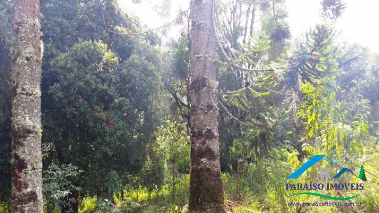 Imagem Terreno à Venda, 113.740 m² em Centro - Gonçalves Imagem Terreno à Venda, 113.740 m² em Centro - Gonçalves