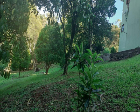 Imagem Imóvel com 3 Quartos à Venda,  em Linha Brasil - Nova Petrópolis