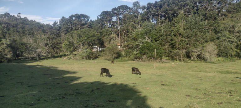 Imagem Chácara com 4 Quartos à Venda, em Retiro - Cunha Imagem Chácara com 4 Quartos à Venda, em Retiro - Cunha