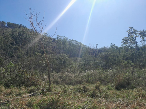 Imagem Imóvel à Venda,  em Centro - Lorena