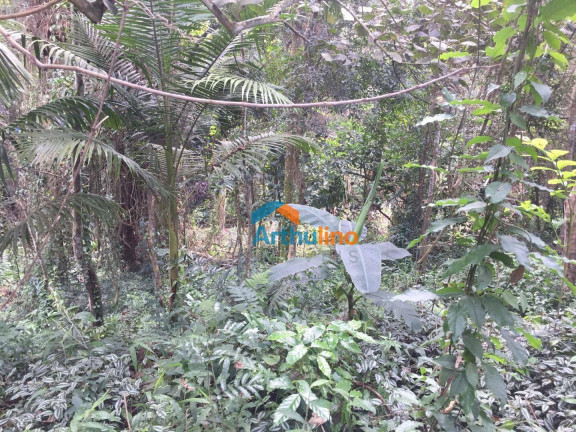 Imagem Terreno à Venda, 2.765 m² em Chácara Represinha - Cotia Imagem Terreno à Venda, 2.765 m² em Chácara Represinha - Cotia