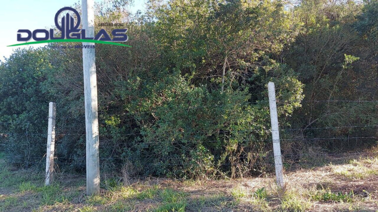 Imagem Terreno à Venda, 1.398 m² em Viamão Imagem Terreno à Venda, 1.398 m² em Viamão