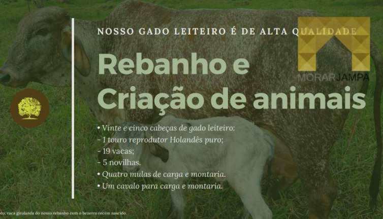 Imagem Fazenda à Venda, 98 m² em Centro - Barro Preto Imagem Fazenda à Venda, 98 m² em Centro - Barro Preto